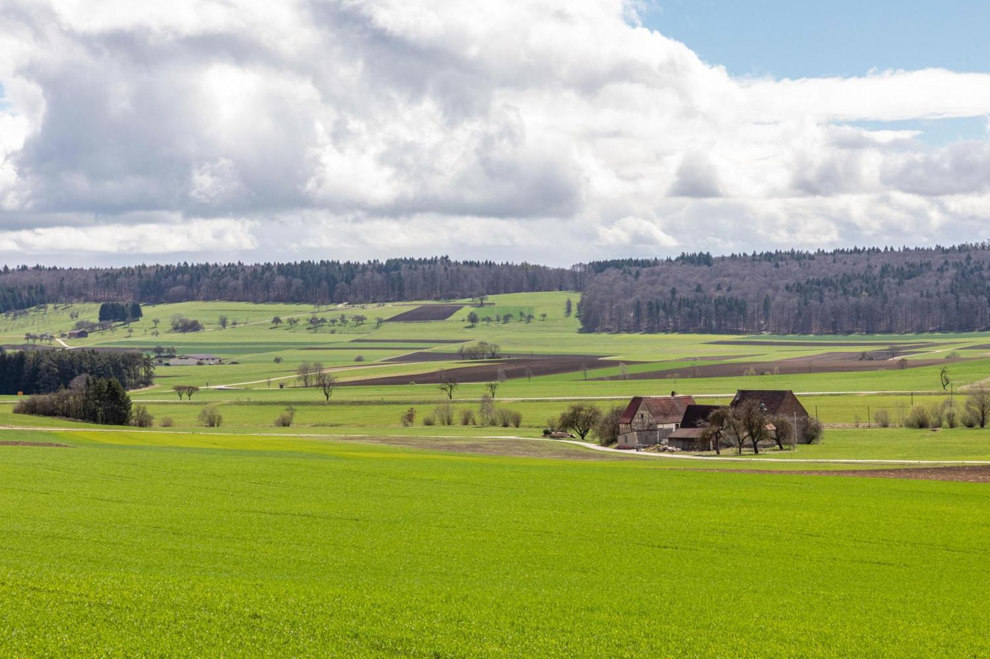 Ferienhaus Em Biehl Frankenhofen المظهر الخارجي الصورة